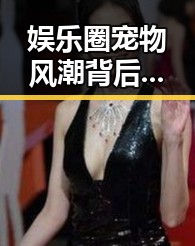 娱乐圈宠物风潮背后的深意:吃瓜、小说与情感的交织