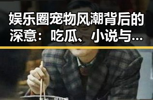 娱乐圈宠物风潮背后的深意:吃瓜、小说与情感的交织